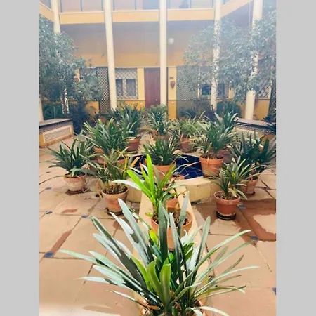 Cozy&Quiet Apt In Sanvicente St Andalusian Patio Seville Exterior photo