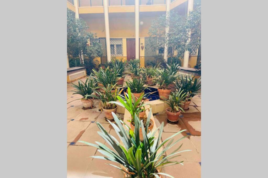 Cozy&quiet In Sanvicente St Andalusian Patio * Sevilha